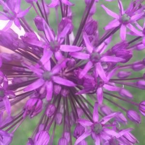 Meet your Posher, Sb